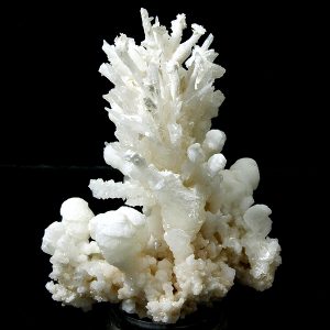aragonito coral macael